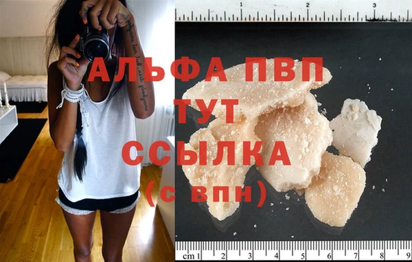 a pvp Алзамай