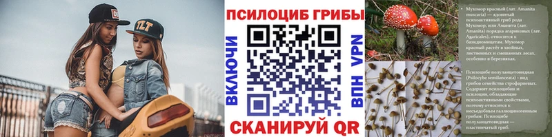 Галлюциногенные грибы Magic Shrooms Ноябрьск