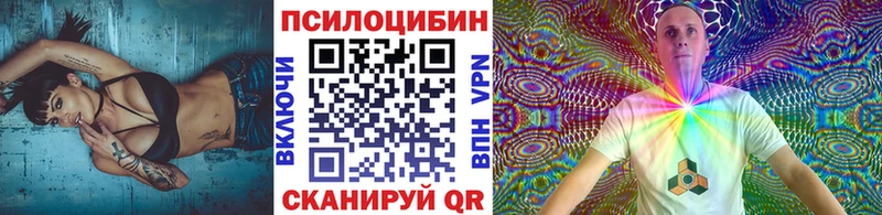где купить наркоту  Ноябрьск  Псилоцибиновые грибы прущие грибы 